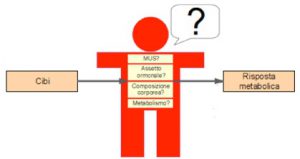 Grafico Metabolismo